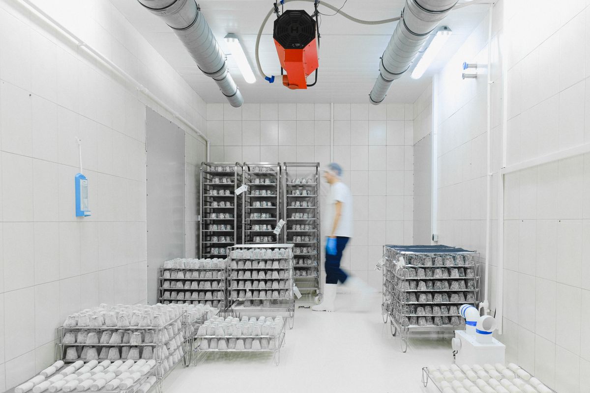 Aplicação industrial para o segmento de frigoríficos